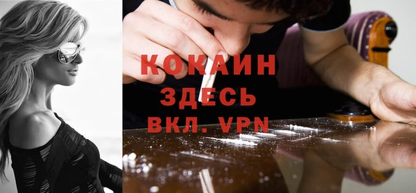 гашик Алексин