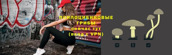 гашик Алексин