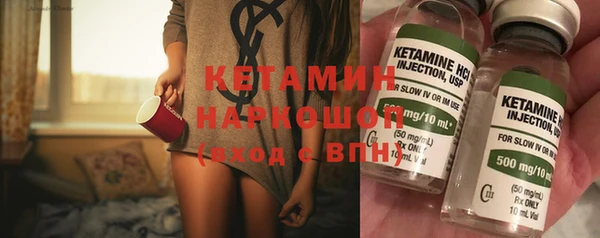 гашик Алексин