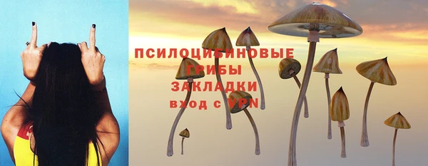 гашик Алексин