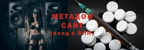 гашик Алексин
