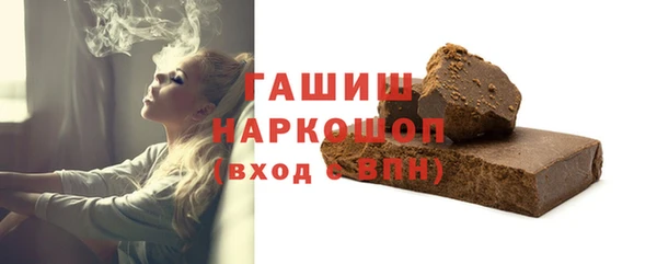 гашик Алексин