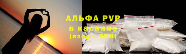 гашик Алексин