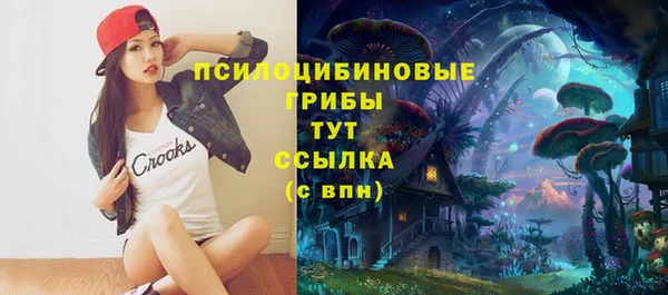 дмт Алексеевка