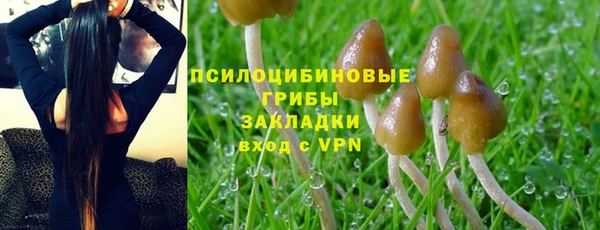 гашик Алексин