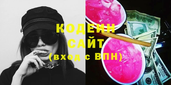 гашик Алексин