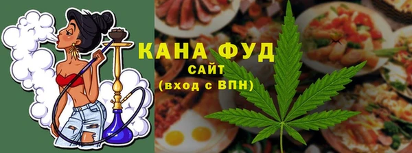 гашик Алексин